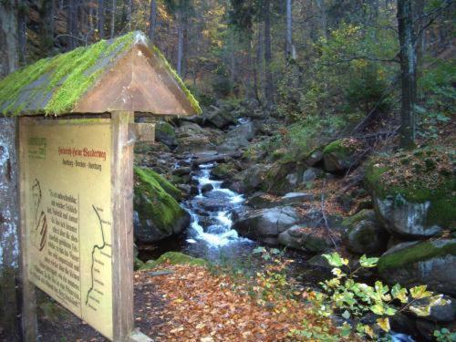 Kurpark Flair Hotel Im Ilsetal Ilsenburg Kültér fotó